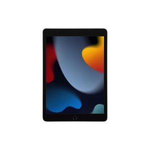 iPad 9th Gen 2021 25.91 cm (10.2 inch) Wi-Fi Tablet